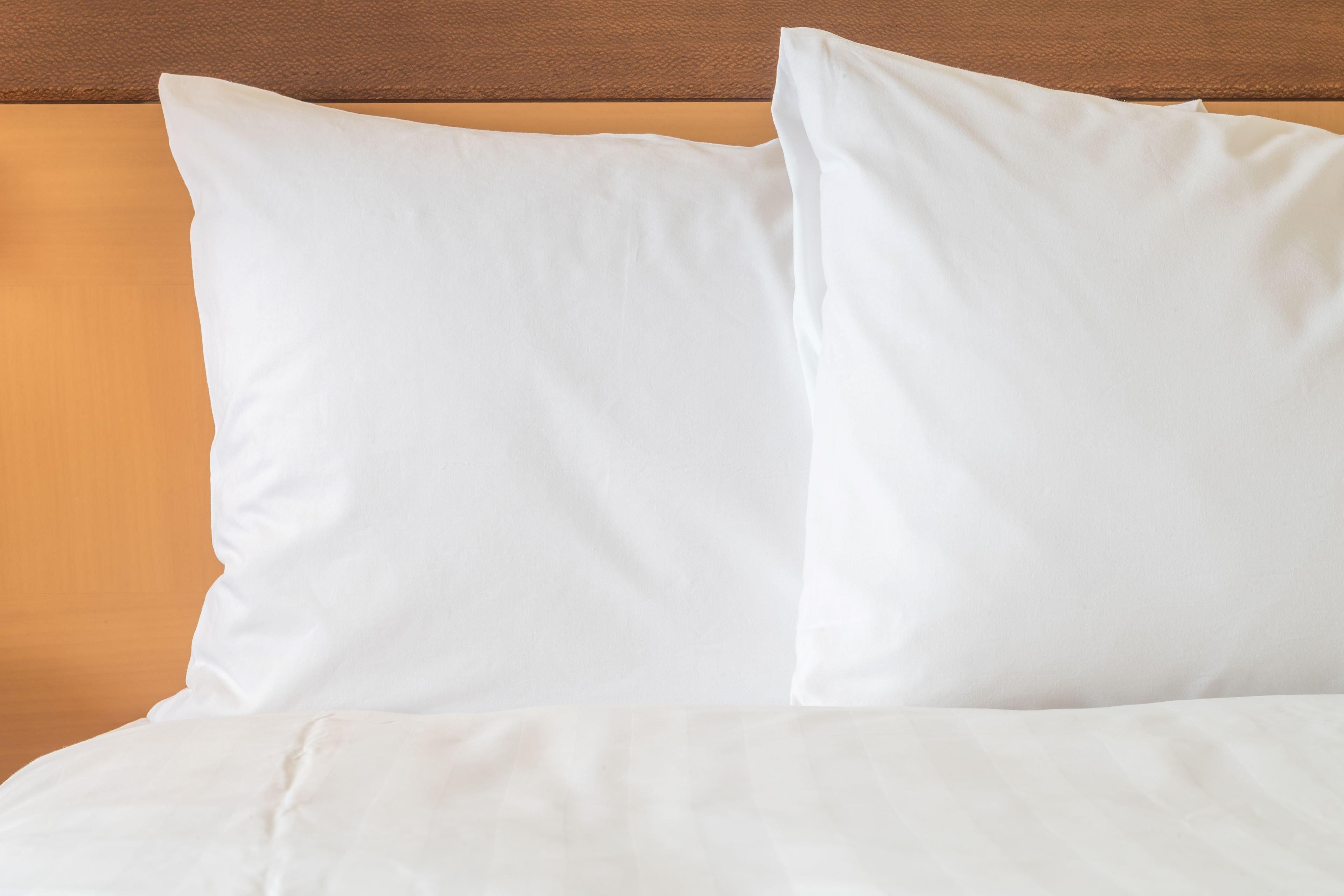 Holiday Inn Express Hotel & Suites Ashland By Ihg Exteriér fotografie